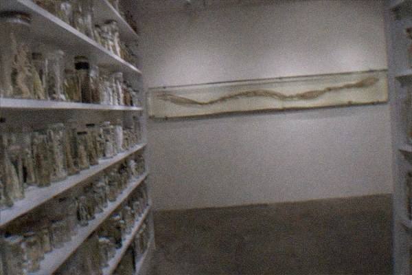 Meguro Parasitological Museum