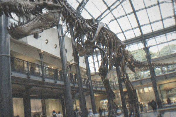 National Museum of Nature and Science