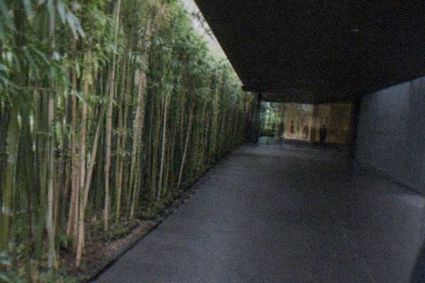 Nezu Museum