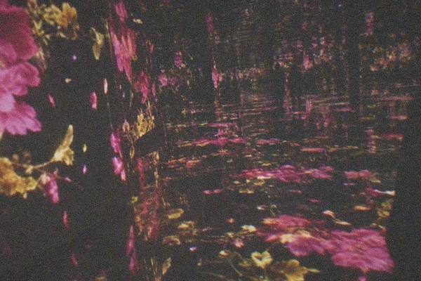 teamLab Borderless