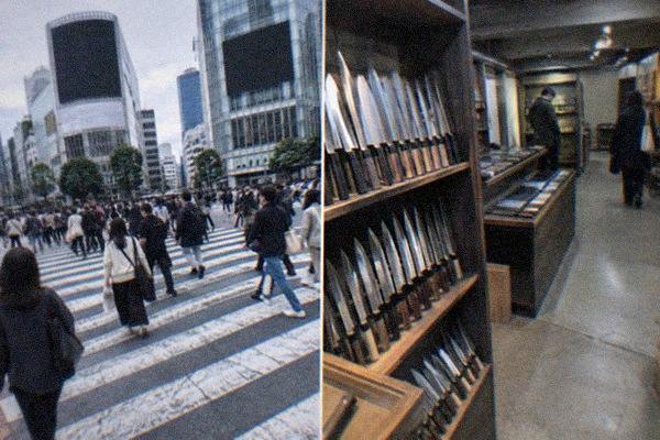 Tokyo Highlights Tour: History, Pop Culture & Hidden Gems