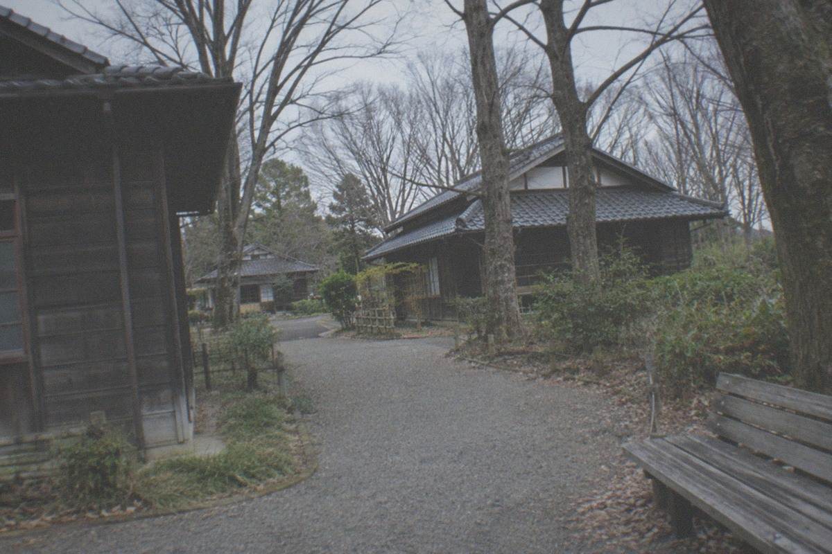 A row of relocated historic Japanese houses with dark timber walls and tiled roofs standing among trees in an open-air museum park