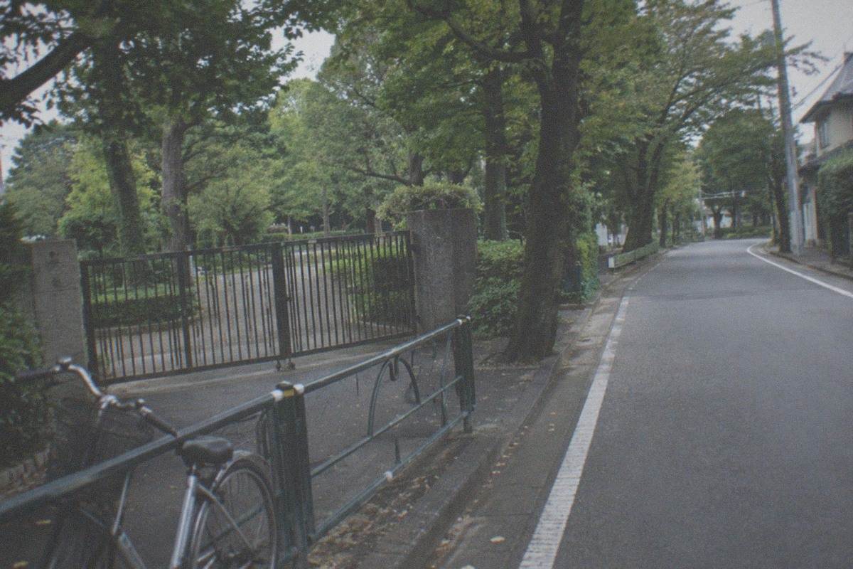 A quiet tree-lined street approaching a small museum building in a Tokyo park