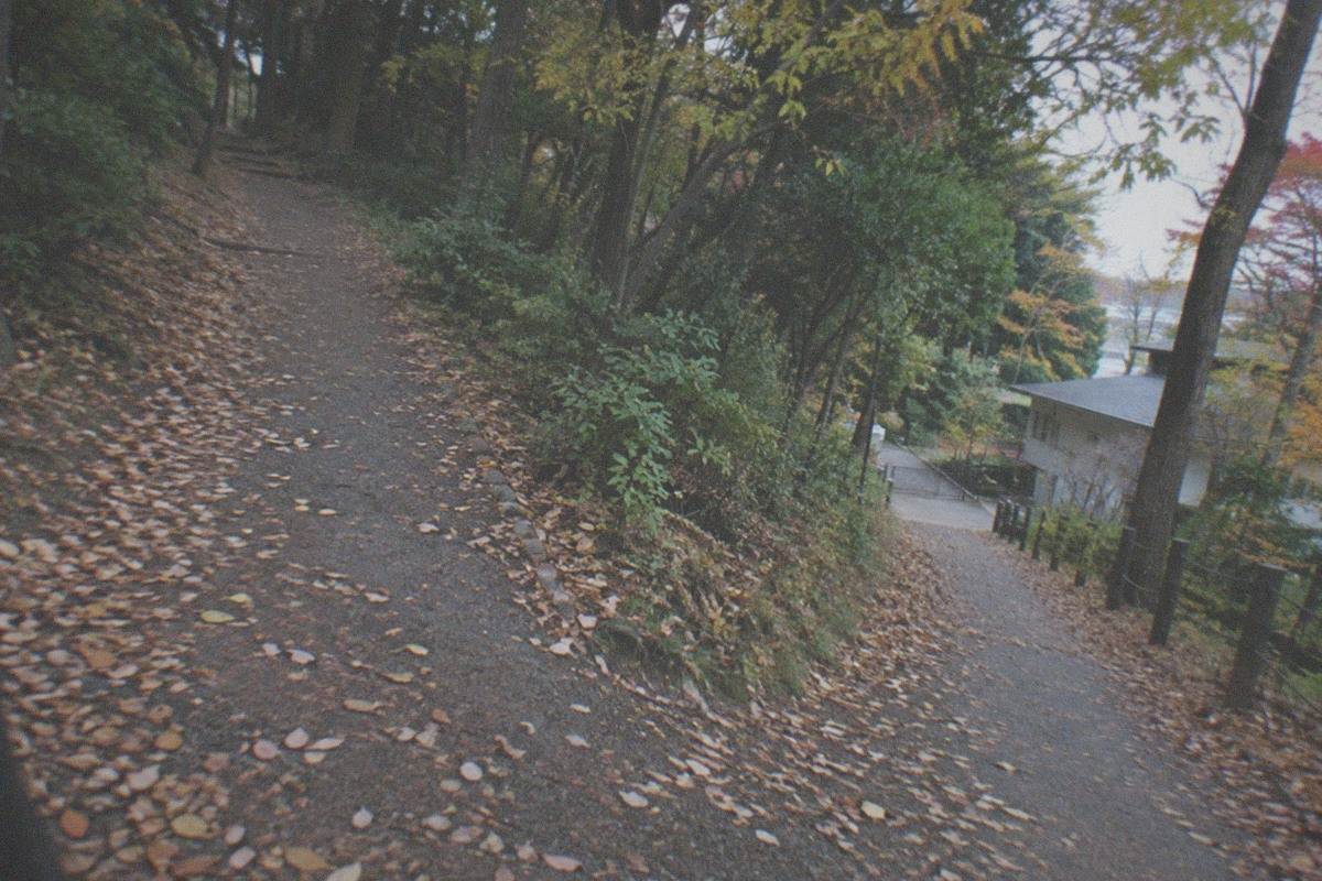 A quiet residential street in Mitaka leading toward a small hillside museum building surrounded by trees