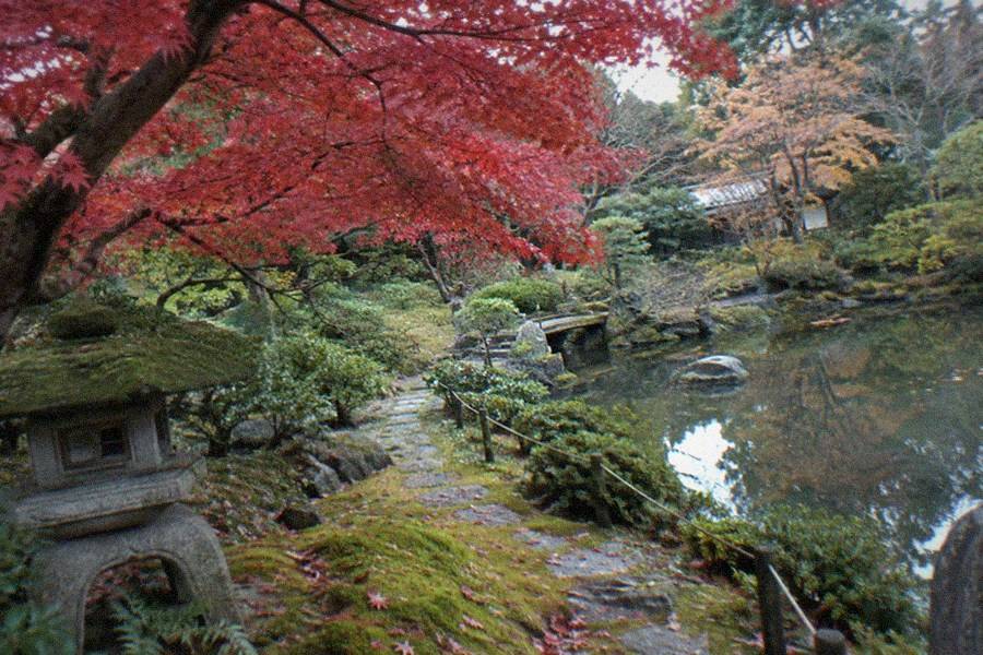 Pond with stepping stones and stone lanterns in a Japanese strolling garden in Tokyo
