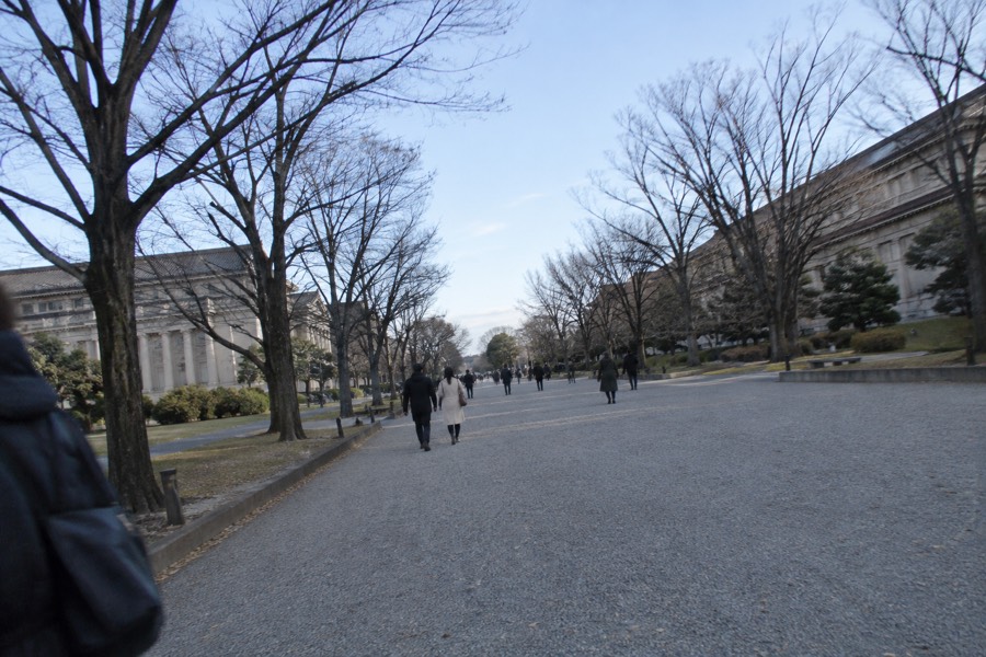 Chart comparing Tokyo museums by ticket route: advance only, timed slot, and walk in
