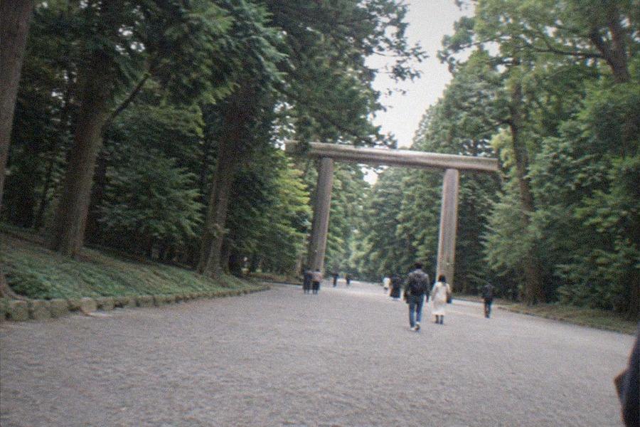 Visitors walking the wide gravel approach through the forest toward the Meiji Jingu shrine precinct