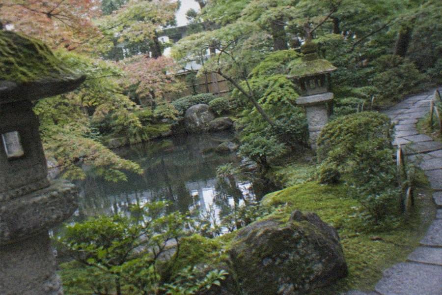 The Nezu Museum strolling garden with its pond, stone paths and trees seen from a garden viewpoint