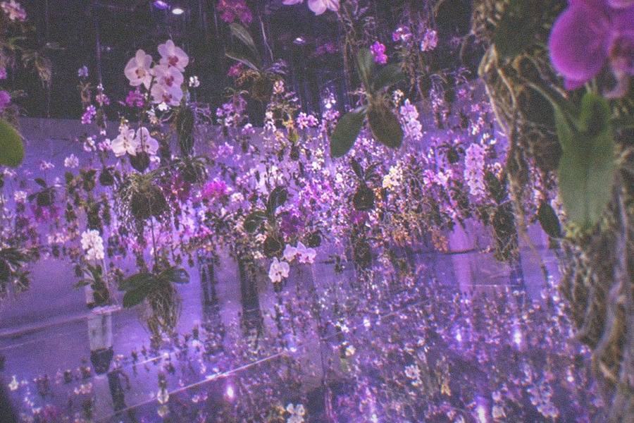 Visitors wading barefoot through the shallow water room at teamLab Planets TOKYO as projections scatter around their legs